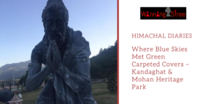 Himachal Diaries – Where Blue Skies Met Green Carpeted Covers – Kandaghat & Mohan Heritage Park